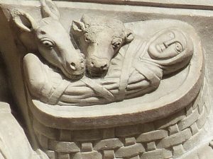 Jesus, Ochse und Esel; Kapitell, Kathedrale von Arles (Detail)
